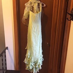 Shawn Ray Fons Light Green Silk Gown